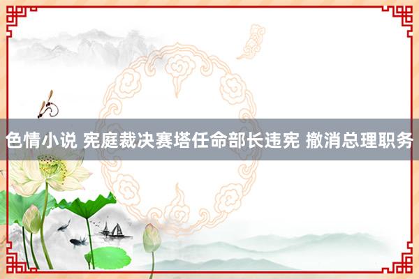 色情小说 宪庭裁决赛塔任命部长违宪 撤消总理职务