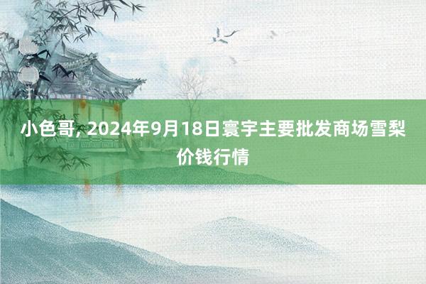 小色哥， 2024年9月18日寰宇主要批发商场雪梨价钱行情