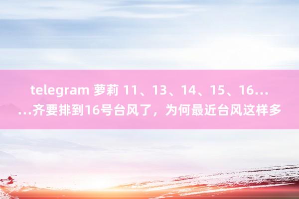 telegram 萝莉 11、13、14、15、16……齐要排到16号台风了，为何最近台风这样多