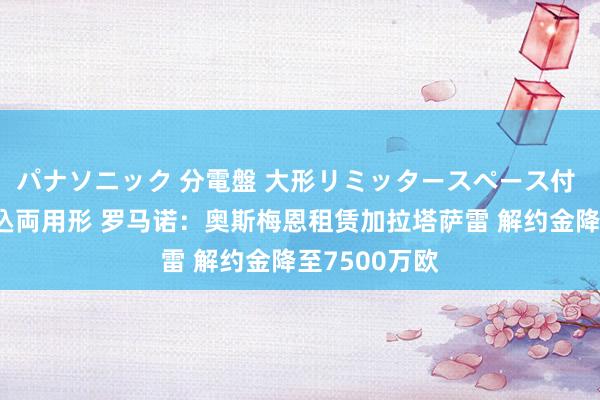 パナソニック 分電盤 大形リミッタースペース付 露出・半埋込両用形 罗马诺：奥斯梅恩租赁加拉塔萨雷 解约金降至7500万欧