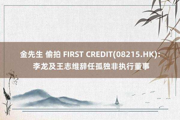 金先生 偷拍 FIRST CREDIT(08215.HK): 李龙及王志维辞任孤独非执行董事