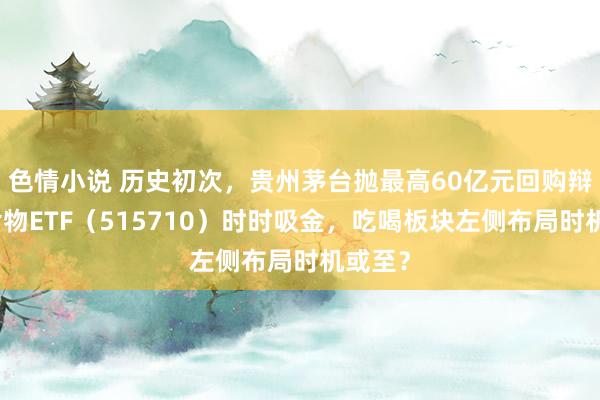 色情小说 历史初次，贵州茅台抛最高60亿元回购辩论！食物ETF（515710）时时吸金，吃喝板块左侧布局时机或至？