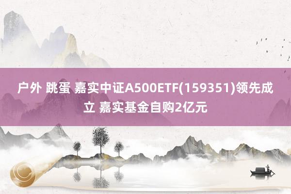 户外 跳蛋 嘉实中证A500ETF(159351)领先成立 嘉实基金自购2亿元