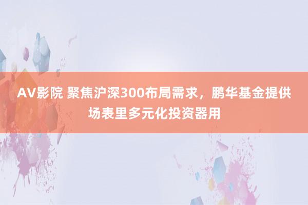 AV影院 聚焦沪深300布局需求，鹏华基金提供场表里多元化投资器用