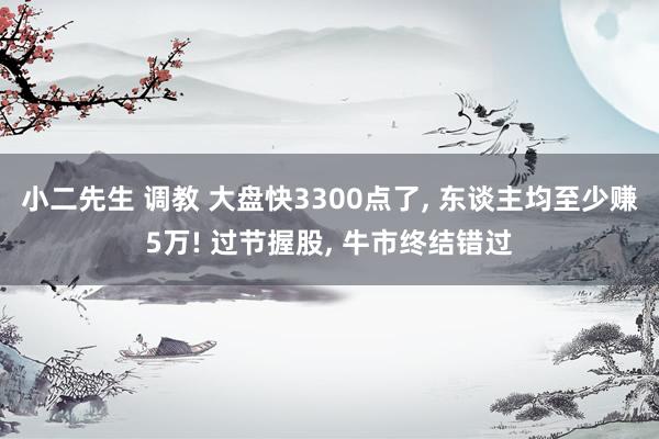 小二先生 调教 大盘快3300点了， 东谈主均至少赚5万! 过节握股， 牛市终结错过