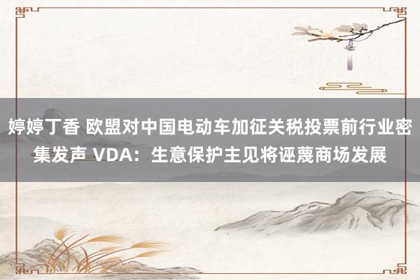 婷婷丁香 欧盟对中国电动车加征关税投票前行业密集发声 VDA：生意保护主见将诬蔑商场发展