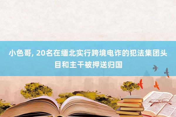 小色哥， 20名在缅北实行跨境电诈的犯法集团头目和主干被押送归国