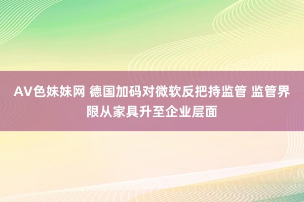 AV色妹妹网 德国加码对微软反把持监管 监管界限从家具升至企业层面