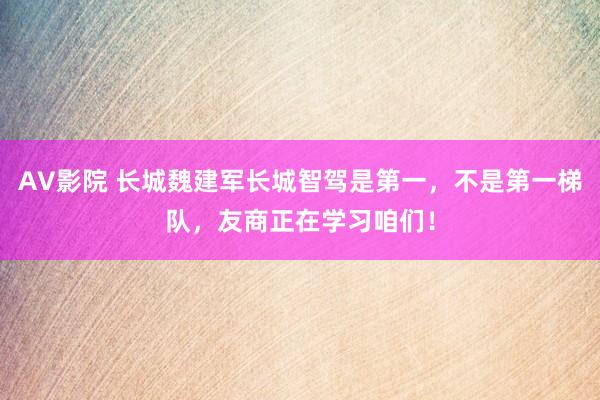 AV影院 长城魏建军长城智驾是第一，不是第一梯队，友商正在学习咱们！