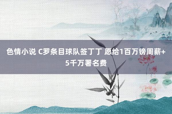 色情小说 C罗条目球队签丁丁 愿给1百万镑周薪+5千万署名费