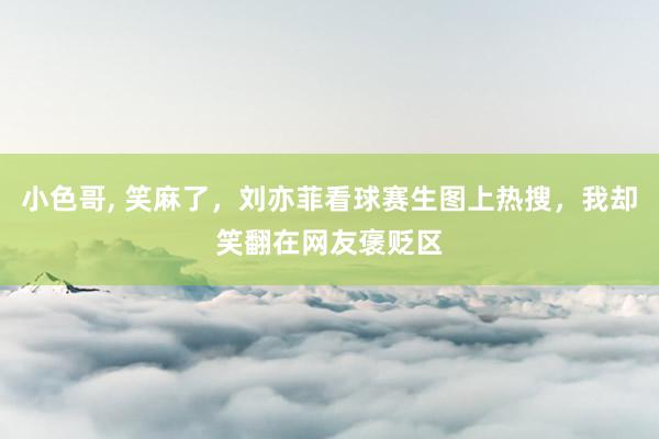 小色哥， 笑麻了，刘亦菲看球赛生图上热搜，我却笑翻在网友褒贬区