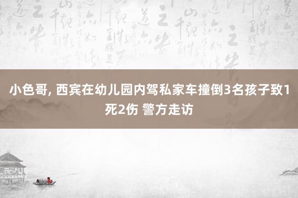 小色哥， 西宾在幼儿园内驾私家车撞倒3名孩子致1死2伤 警方走访