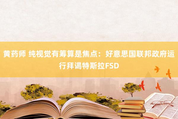 黄药师 纯视觉有筹算是焦点：好意思国联邦政府运行拜谒特斯拉FSD