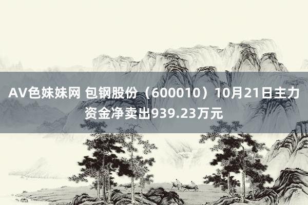 AV色妹妹网 包钢股份（600010）10月21日主力资金净卖出939.23万元