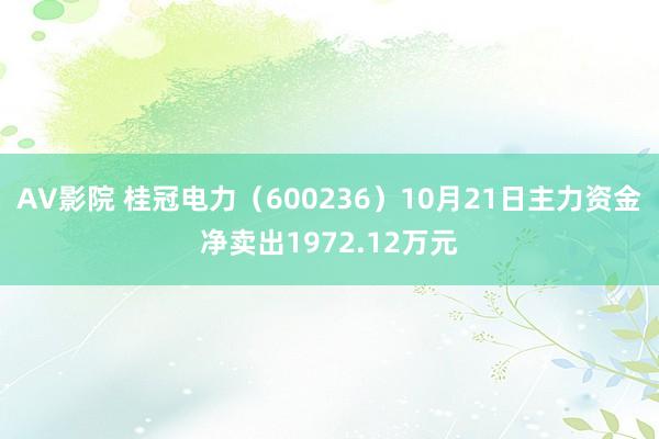 AV影院 桂冠电力（600236）10月21日主力资金净卖出1972.12万元