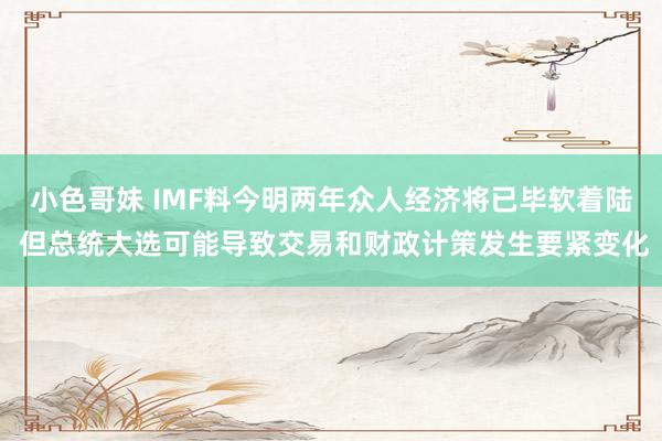 小色哥妹 IMF料今明两年众人经济将已毕软着陆 但总统大选可能导致交易和财政计策发生要紧变化