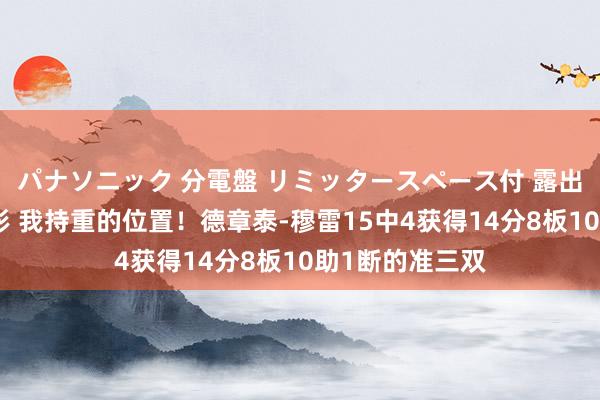 パナソニック 分電盤 リミッタースペース付 露出・半埋込両用形 我持重的位置！德章泰-穆雷15中4获得14分8板10助1断的准三双