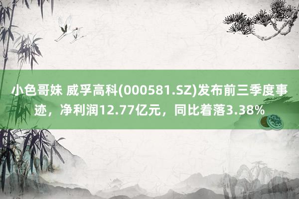 小色哥妹 威孚高科(000581.SZ)发布前三季度事迹，净利润12.77亿元，同比着落3.38%