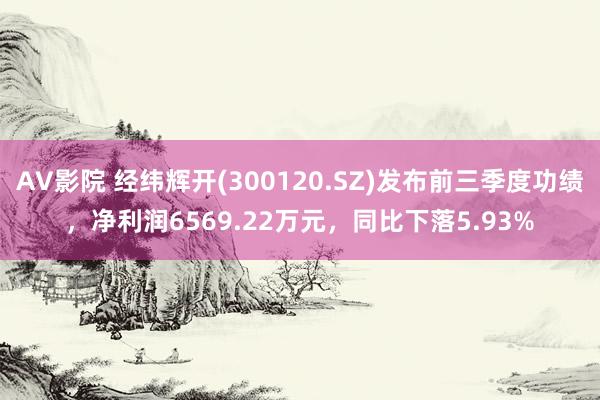 AV影院 经纬辉开(300120.SZ)发布前三季度功绩，净利润6569.22万元，同比下落5.93%