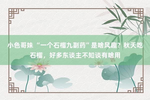 小色哥妹 “一个石榴九副药”是啥风趣？秋天吃石榴，好多东谈主不知谈有啥用