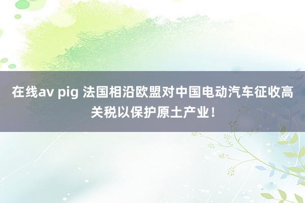 在线av pig 法国相沿欧盟对中国电动汽车征收高关税以保护原土产业！