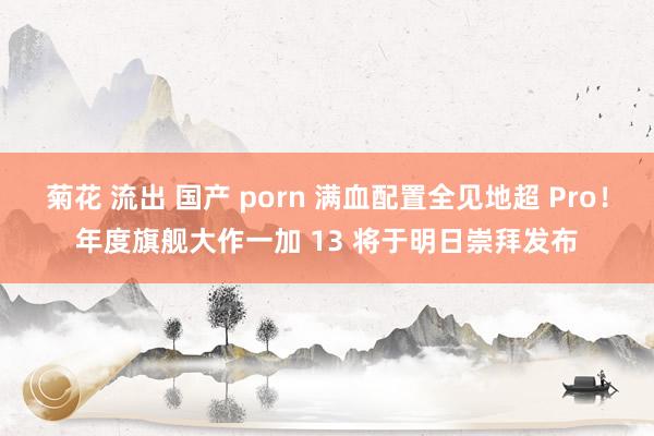 菊花 流出 国产 porn 满血配置全见地超 Pro！年度旗舰大作一加 13 将于明日崇拜发布