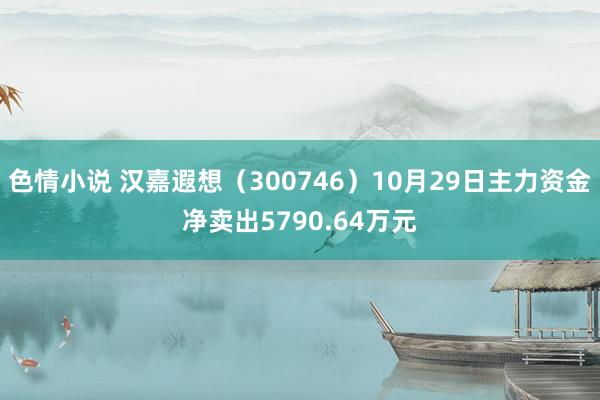 色情小说 汉嘉遐想（300746）10月29日主力资金净卖出5790.64万元