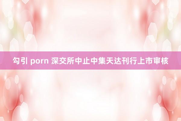 勾引 porn 深交所中止中集天达刊行上市审核