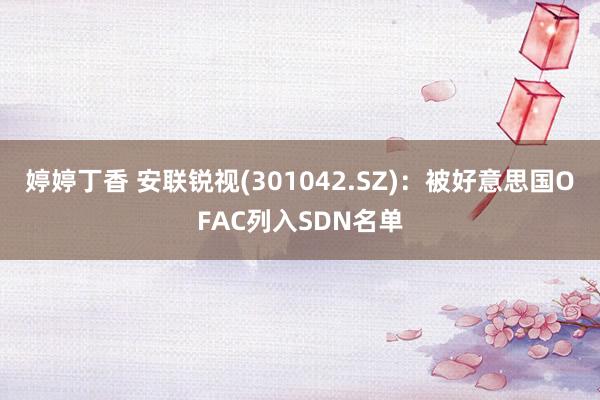 婷婷丁香 安联锐视(301042.SZ)：被好意思国OFAC列入SDN名单