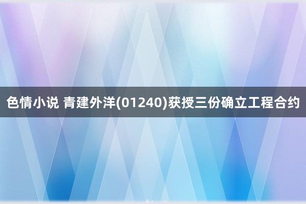 色情小说 青建外洋(01240)获授三份确立工程合约