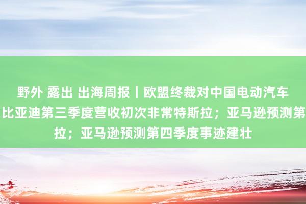 野外 露出 出海周报丨欧盟终裁对中国电动汽车加征反补贴税；比亚迪第三季度营收初次非常特斯拉；亚马逊预测第四季度事迹建壮