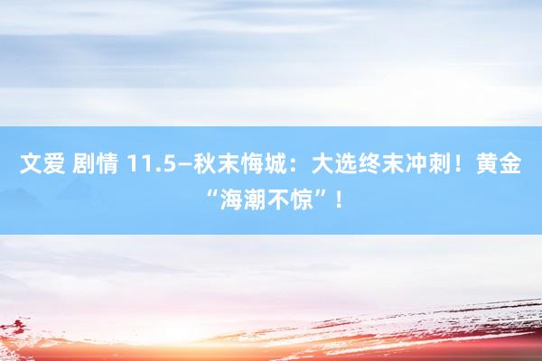 文爱 剧情 11.5—秋末悔城：大选终末冲刺！黄金“海潮不惊”！