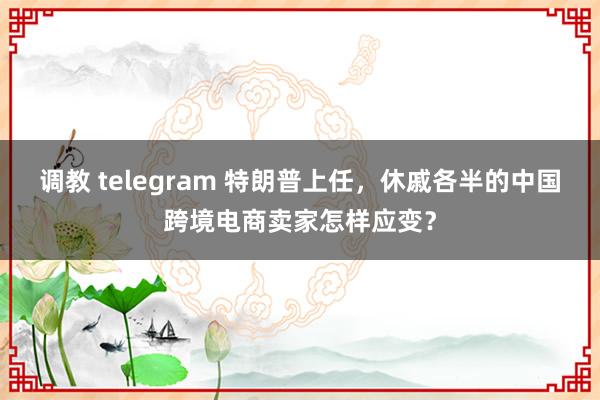 调教 telegram 特朗普上任，休戚各半的中国跨境电商卖家怎样应变？