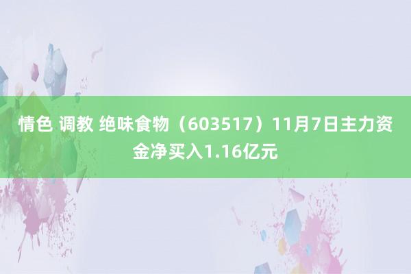 情色 调教 绝味食物（603517）11月7日主力资金净买入1.16亿元