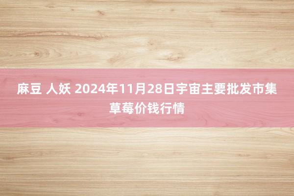 麻豆 人妖 2024年11月28日宇宙主要批发市集草莓价钱行情