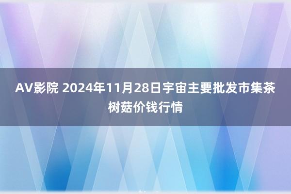 AV影院 2024年11月28日宇宙主要批发市集茶树菇价钱行情