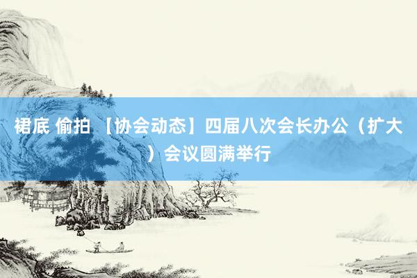 裙底 偷拍 【协会动态】四届八次会长办公（扩大）会议圆满举行