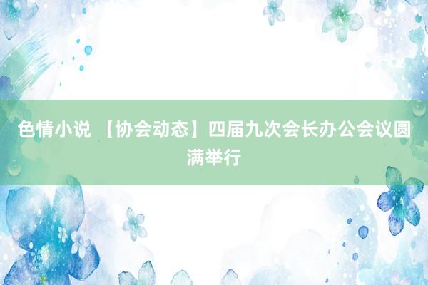 色情小说 【协会动态】四届九次会长办公会议圆满举行