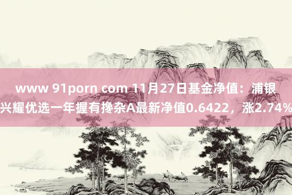 www 91porn com 11月27日基金净值：浦银兴耀优选一年握有搀杂A最新净值0.6422，涨2.74%