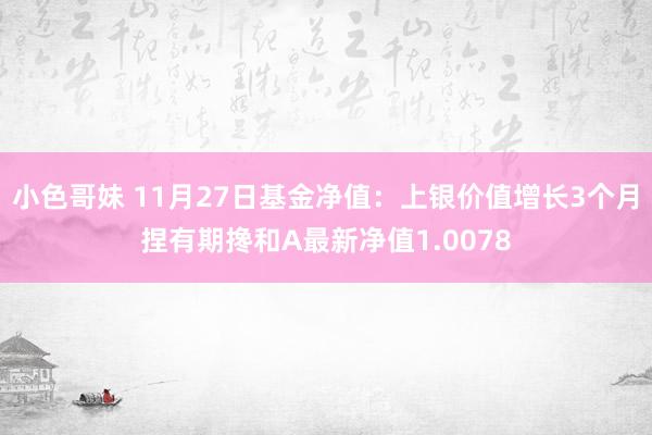 小色哥妹 11月27日基金净值：上银价值增长3个月捏有期搀和A最新净值1.0078