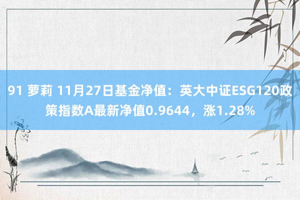 91 萝莉 11月27日基金净值：英大中证ESG120政策指数A最新净值0.9644，涨1.28%