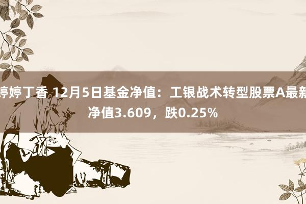 婷婷丁香 12月5日基金净值：工银战术转型股票A最新净值3.609，跌0.25%