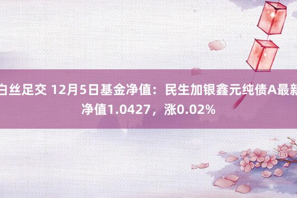 白丝足交 12月5日基金净值：民生加银鑫元纯债A最新净值1.0427，涨0.02%