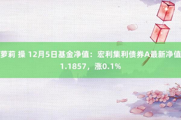 萝莉 操 12月5日基金净值：宏利集利债券A最新净值1.1857，涨0.1%