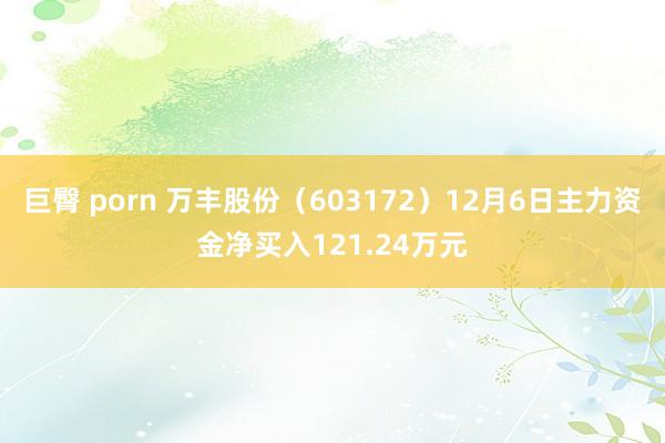 巨臀 porn 万丰股份（603172）12月6日主力资金净买入121.24万元