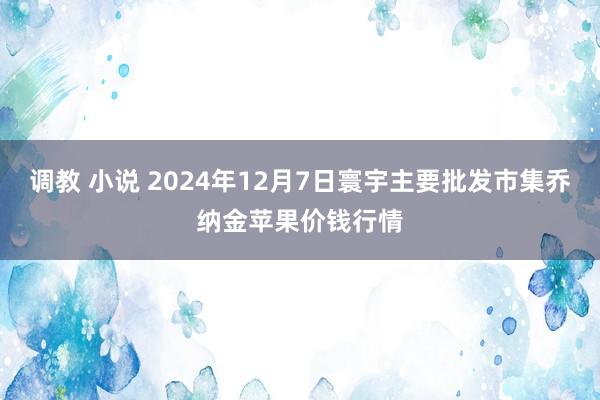 调教 小说 2024年12月7日寰宇主要批发市集乔纳金苹果价钱行情