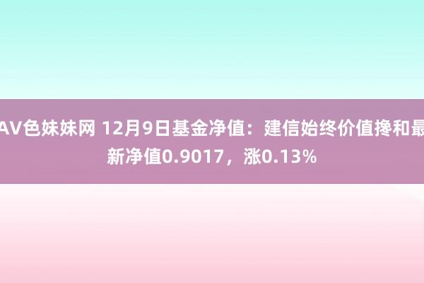 AV色妹妹网 12月9日基金净值：建信始终价值搀和最新净值0.9017，涨0.13%