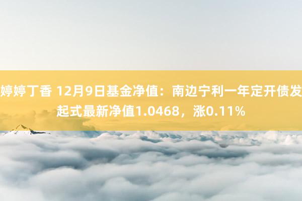 婷婷丁香 12月9日基金净值：南边宁利一年定开债发起式最新净值1.0468，涨0.11%