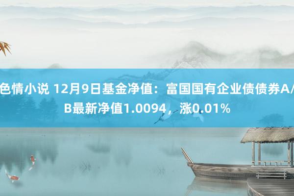 色情小说 12月9日基金净值：富国国有企业债债券A/B最新净值1.0094，涨0.01%