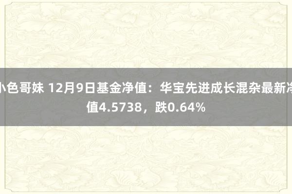 小色哥妹 12月9日基金净值：华宝先进成长混杂最新净值4.5738，跌0.64%